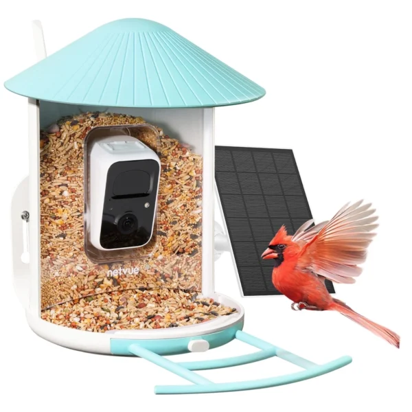 Comedero para aves con cámara de alimentación solar -Birdfy